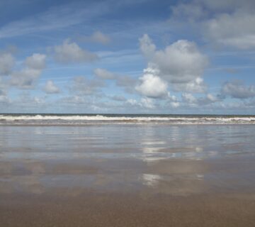 Beach 360x320