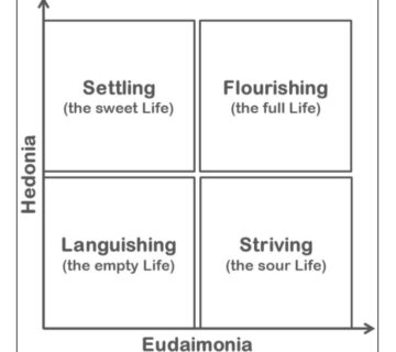 Hedonia eudaimonia 360x320